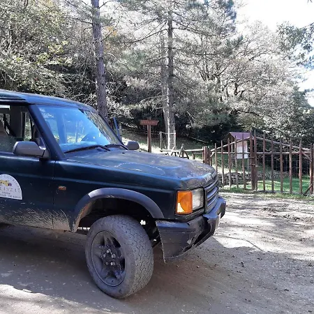 Πανσιόν Bb Mariolo House