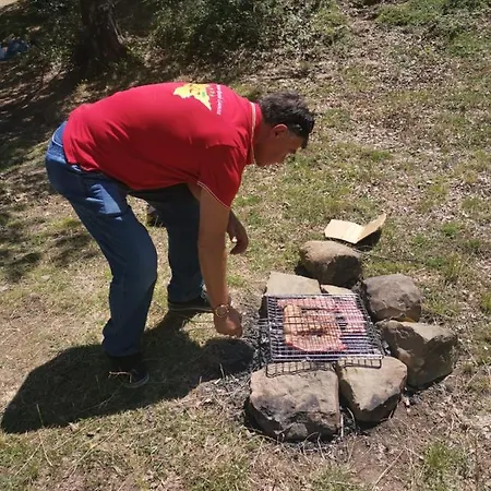 Bb Mariolo House Πανσιόν Cesarò