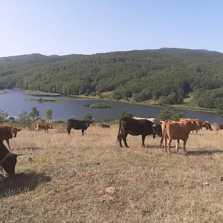 Πανσιόν Bb Mariolo House