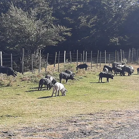 Bb Mariolo House 3* Cesarò