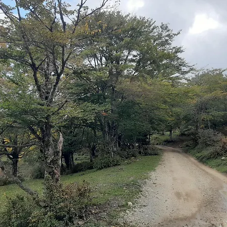 Bb Mariolo House Πανσιόν Cesarò