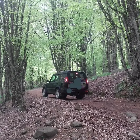 Bb Mariolo House Πανσιόν Cesarò