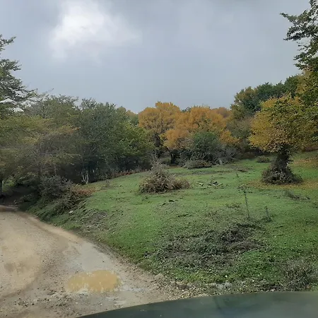 Bb Mariolo House 3* Cesarò