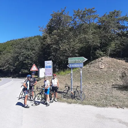 Bb Mariolo House Gæstehus