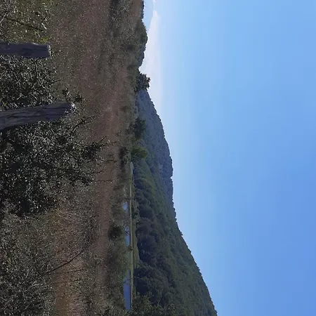 Bb Mariolo House Gæstehus 3*