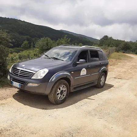 Bb Mariolo House Gæstehus 3*