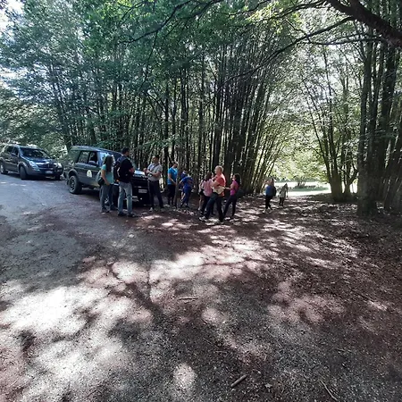 Bb Mariolo House Cesaro