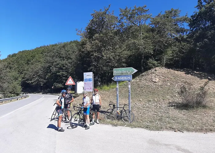 Bb Mariolo House ゲストハウス